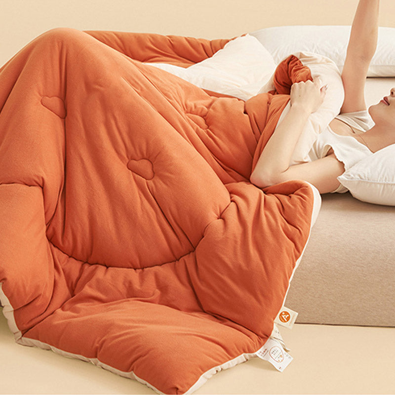 Simple Style Warm Fluffy Comforter