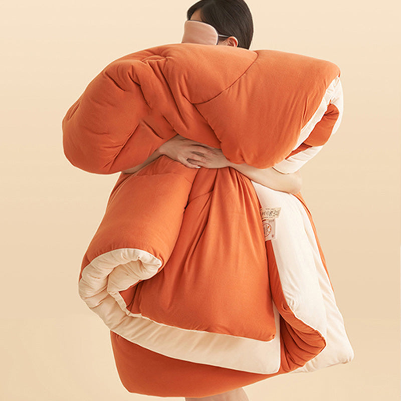 Simple Style Warm Fluffy Comforter