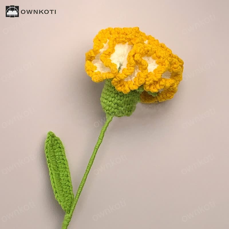 Creative Handmade Knitted Crochet Carnation