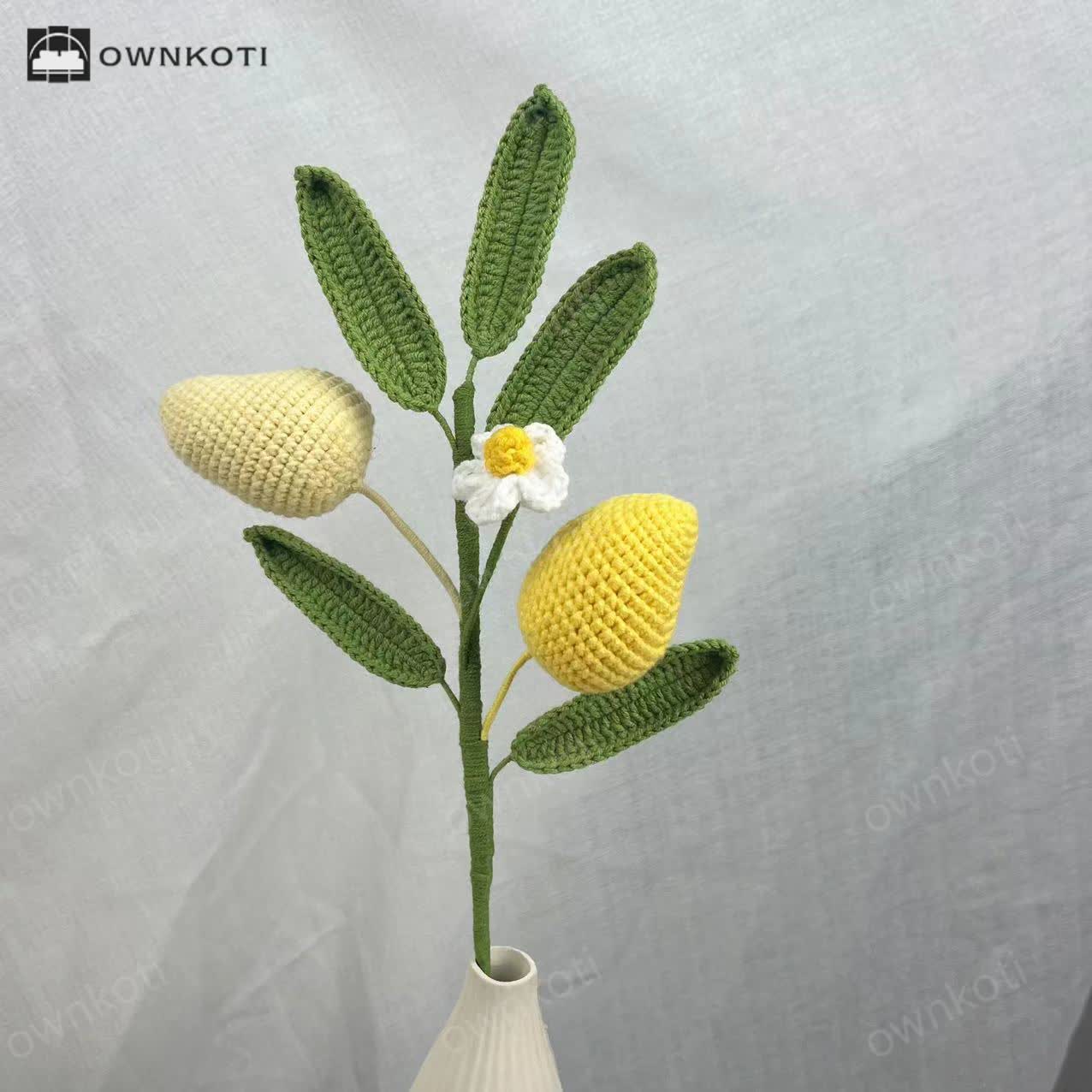 Creative Handmade Knitted Crochet Fruit Bouquet