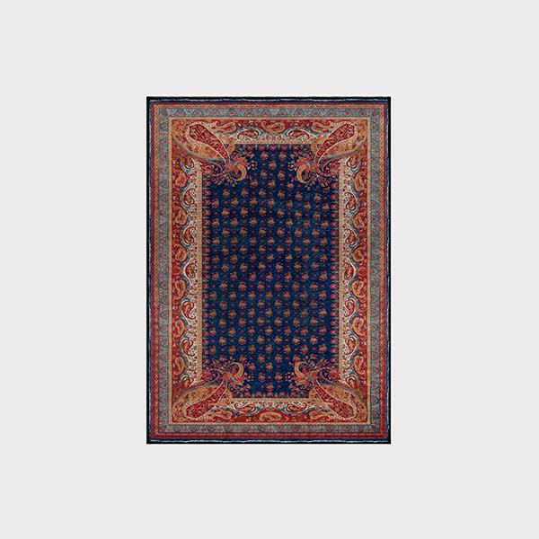 Retro Paisley Soft Anti-slip Indoor Outdoor Rug