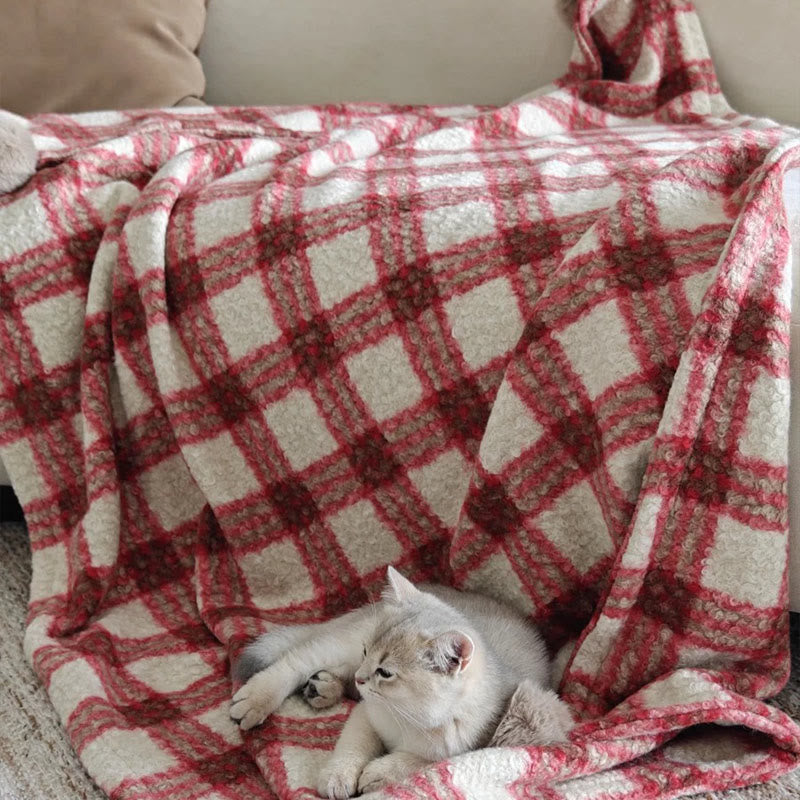 Christmas Plaid Double-Sided Blanket - image 11