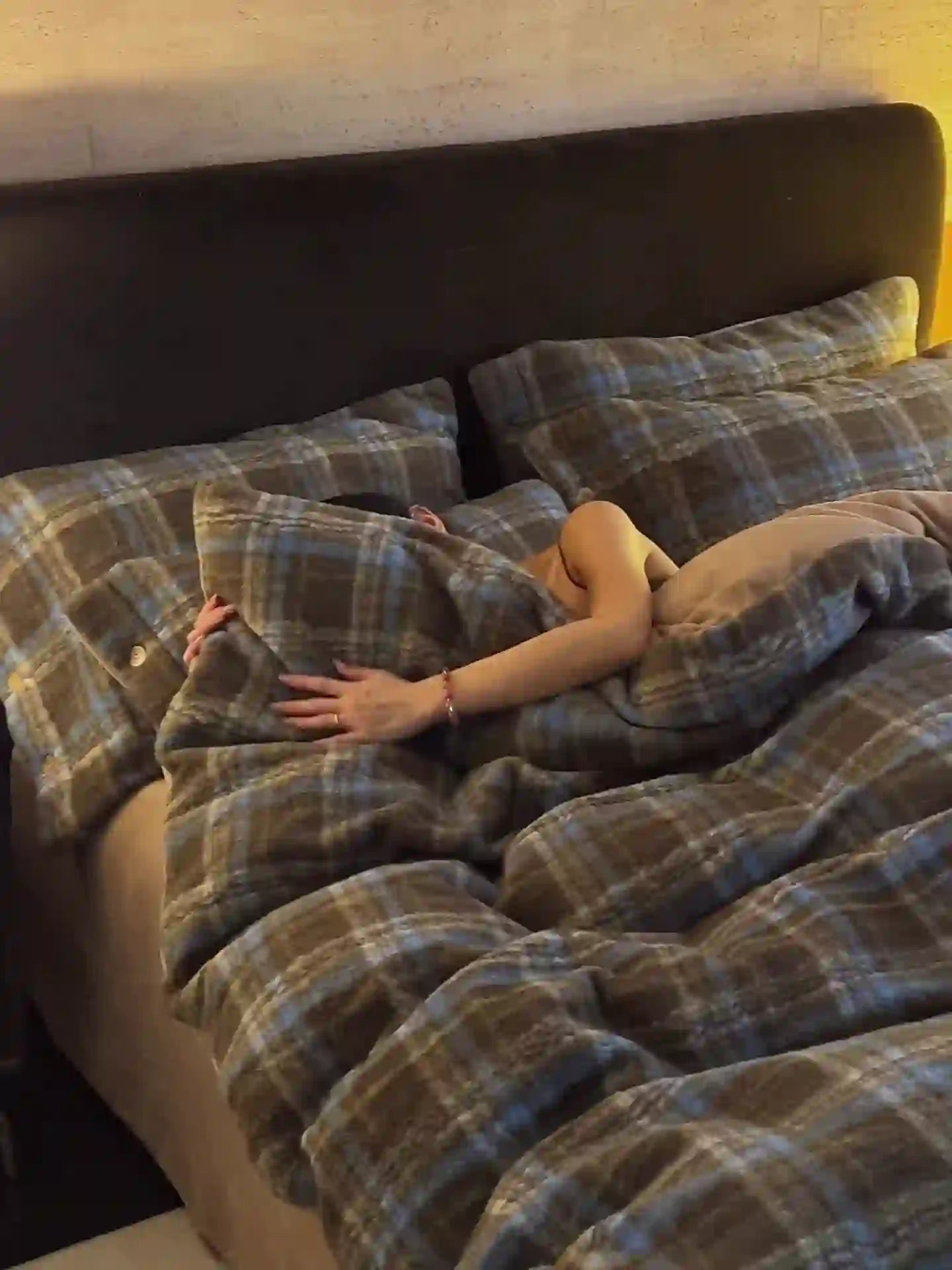 Classic Plaid Cozy Thick Bedding Set (4PCS)  - image 42