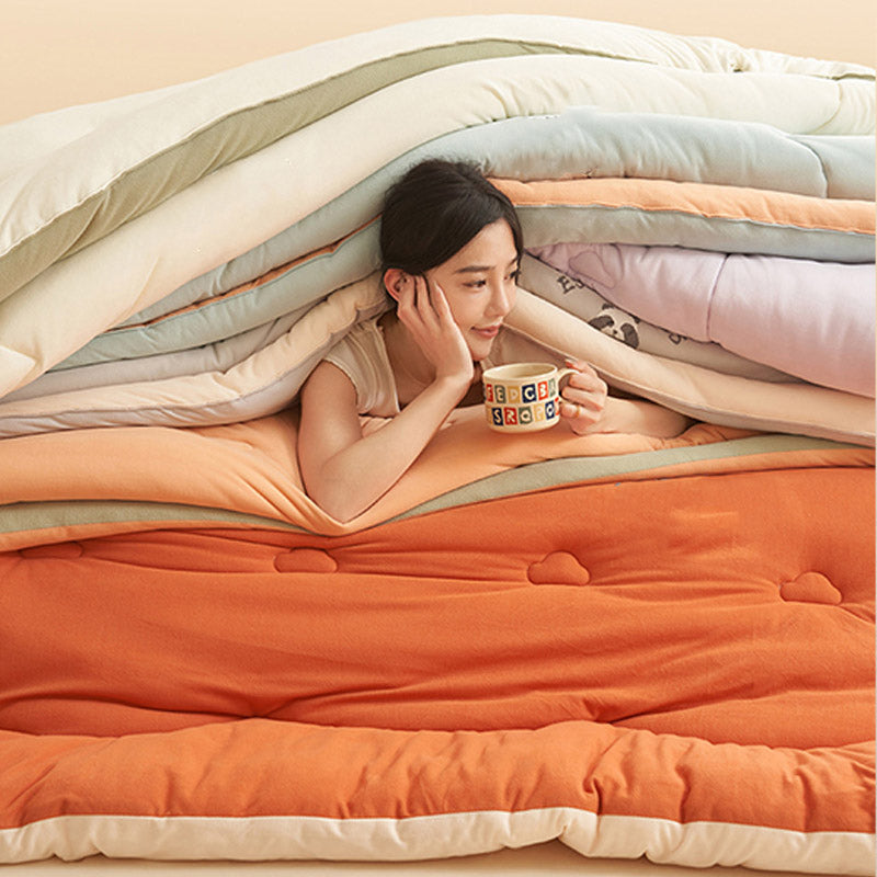 Simple Style Warm Fluffy Comforter