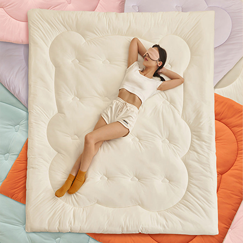 Simple Style Warm Fluffy Comforter