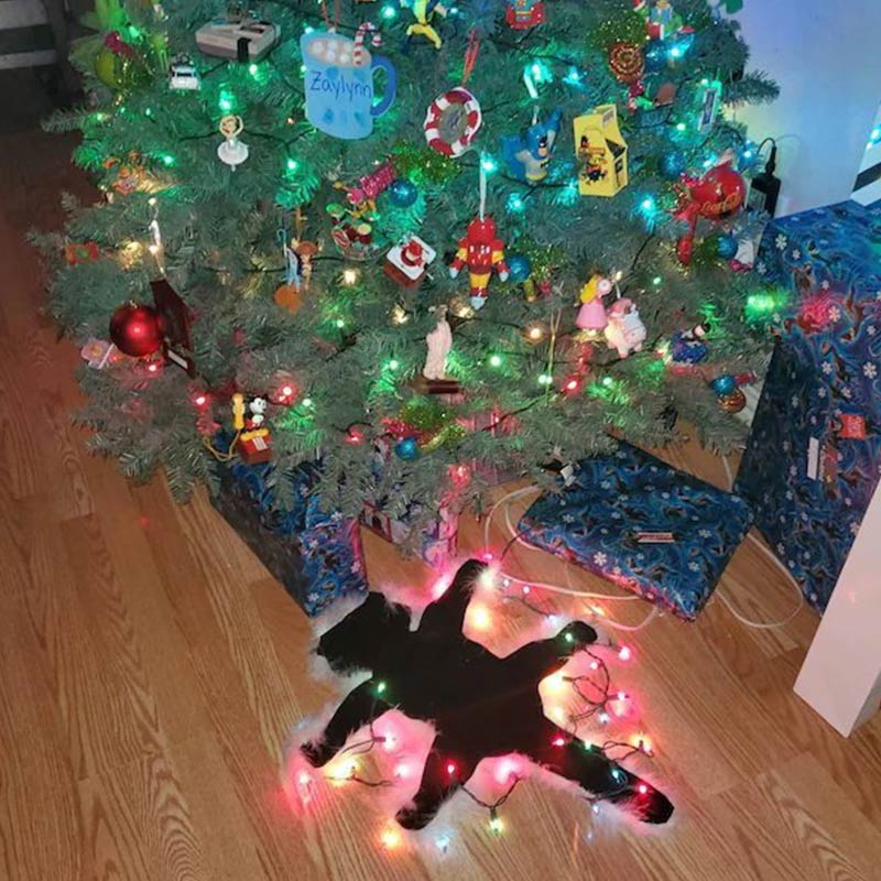 šš Ownkoti Aunt Bethany's Fried Cat Decorative Fur Trimmed Rug in National Lampoonās Christmas Vacation