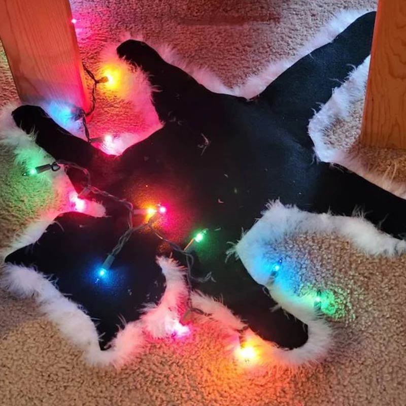 šš Ownkoti Aunt Bethany's Fried Cat Decorative Fur Trimmed Rug in National Lampoonās Christmas Vacation