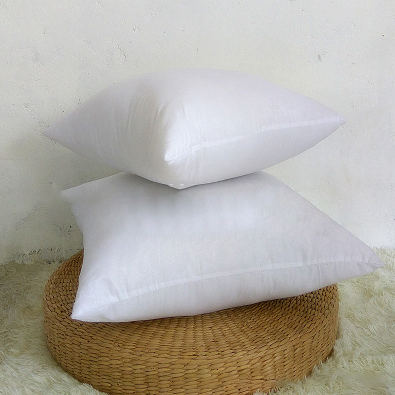 Ownkoti White Fluffy Ultra Soft Pillow Core