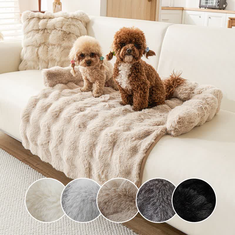 Ownkoti Solid Plush Pet Sofa Bed - image 0