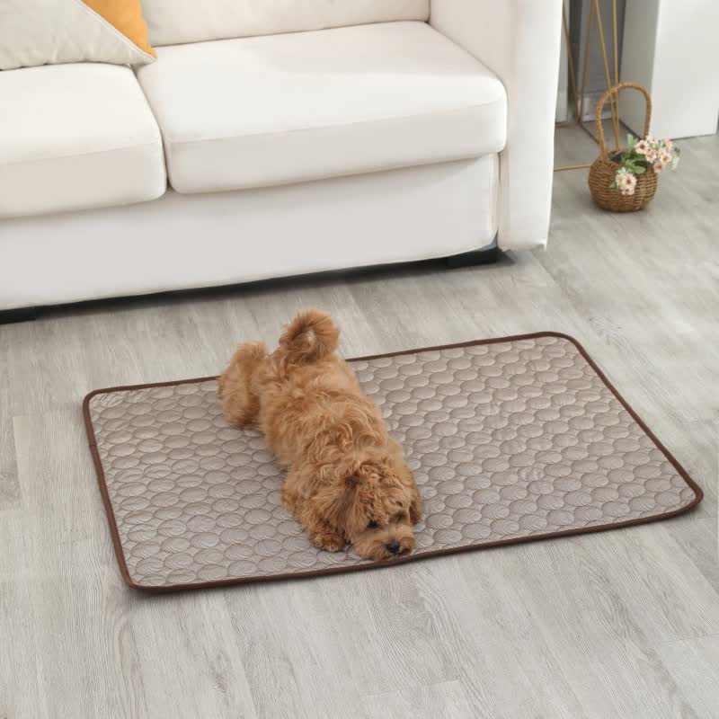 Simple Absorbent Summer Cooling Pet Pad