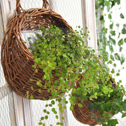 Ownkoti Handwoven Plant Basket with Handle (3PCS)