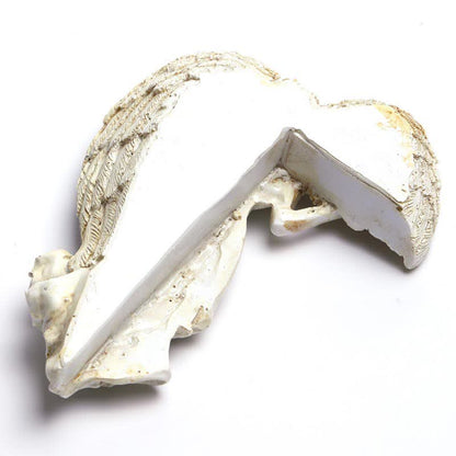 Ownkoti Door Frame Angel Wings Sculpture - image 8