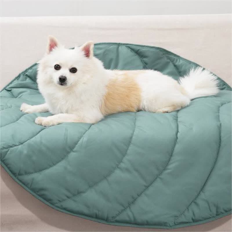 Creative Leaves Shape Soft Absorbent Pet Pad