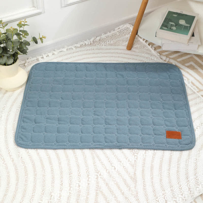 Waffle Texture Comfy Absorbent Pet Pad