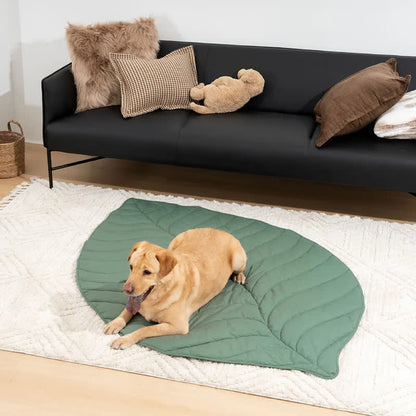 Creative Leaves Shape Soft Absorbent Pet Pad