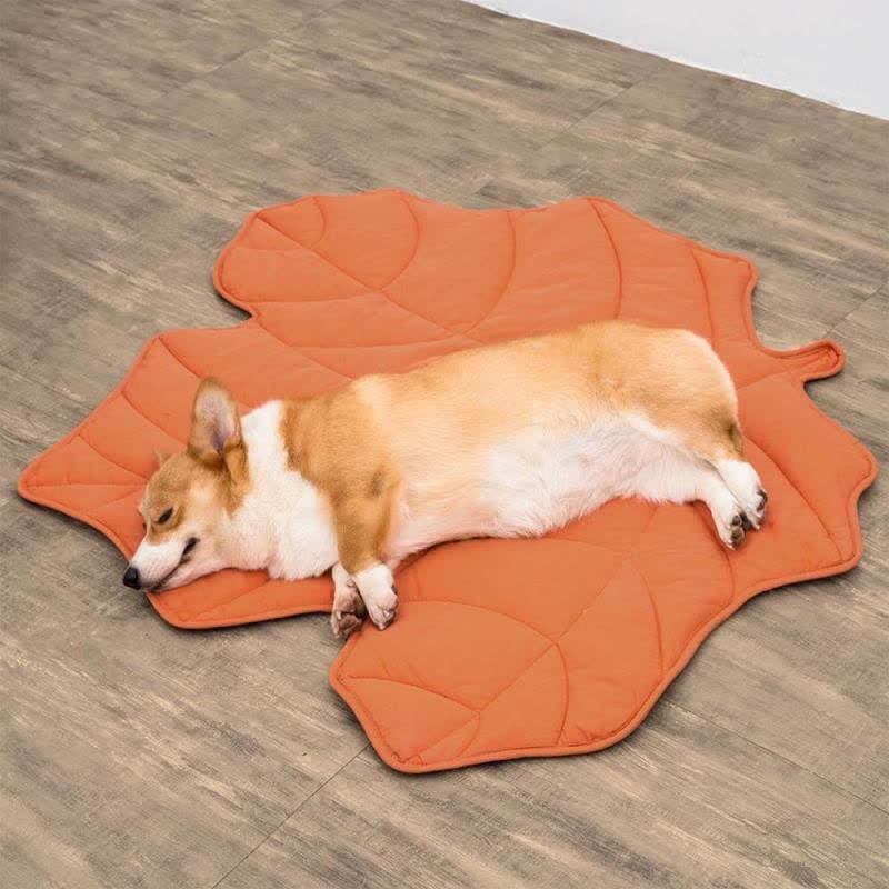 Creative Leaves Shape Soft Absorbent Pet Pad